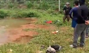 Kết quả tìm kiếm thi thể