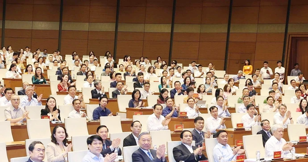 Mục đích và quy mô