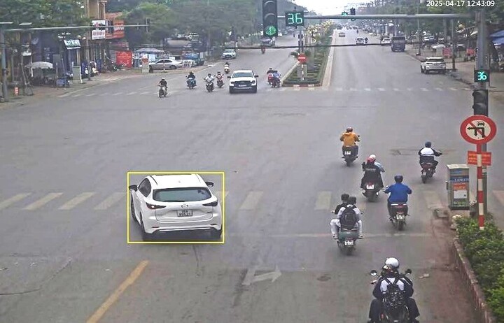 Các Hành Vi Vi Phạm