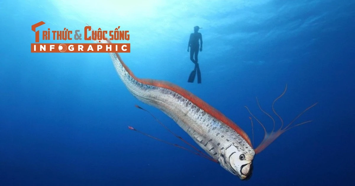 Phản ứng của cộng đồng